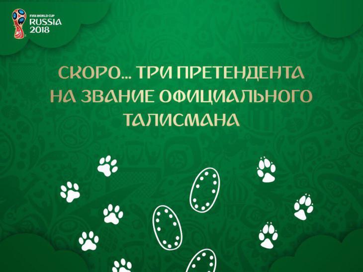 Открыт сайт для голосования за талисман ЧМ-2018
