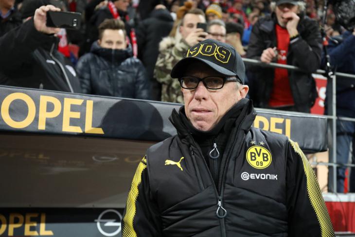 Петер Штегер