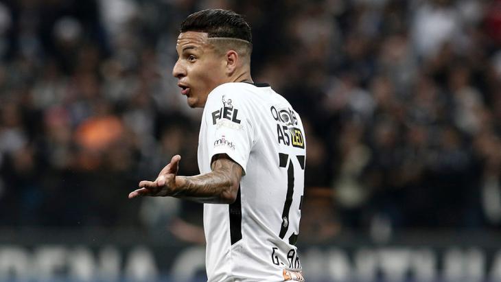 Арана Гильерме