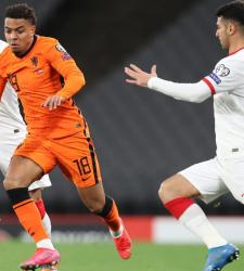 Дониэлл Мален