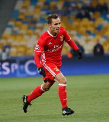 Алекс Гримальдо