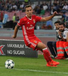 Алекс Гримальдо